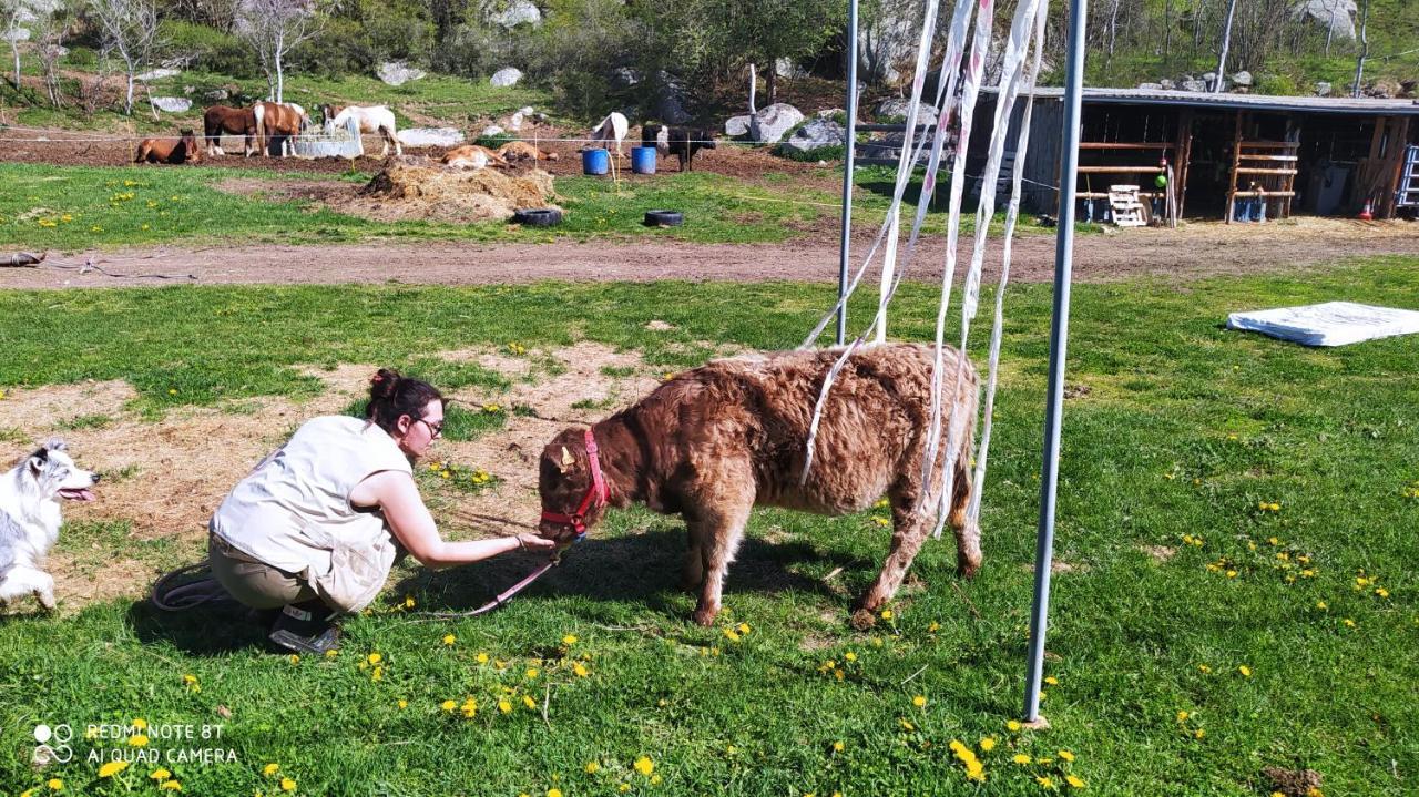 Ferme Can Llull Enveitg ภายนอก รูปภาพ